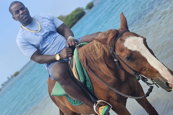 Horseback Ride and Swim Experience Montego with Transportation - Who should book this experience