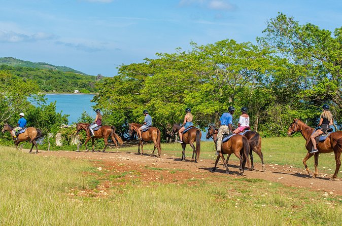 Horseback Ride and Swim from Ocho Rios - Who will enjoy this ride most