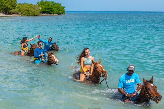 Horseback Ride and Swim from Ocho Rios - Richmond and Llandovery add a rural pause