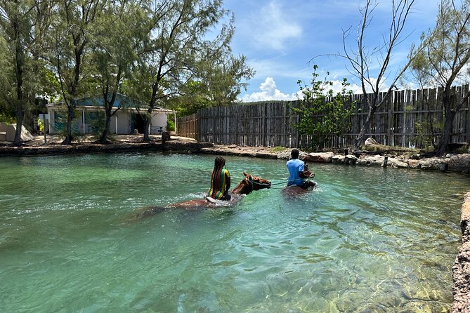 Horseback Ride and Swim Guided Tour from Montego Bay - Is the $160 Price Fair?