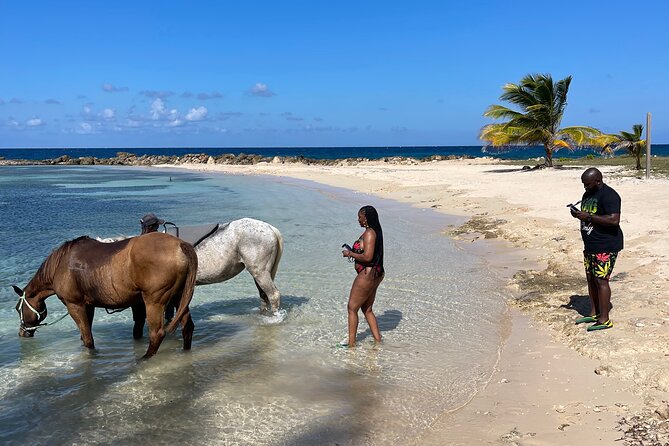 Horseback Ride and Swim Guided Tour from Montego Bay - What to Bring and What to Confirm