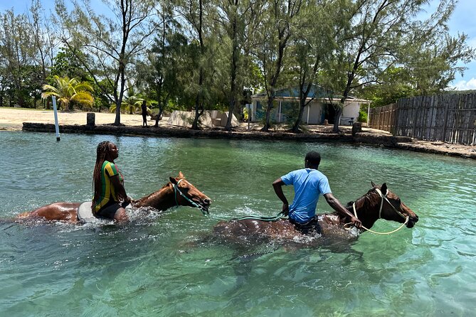 Horseback Ride and Swim Guided Tour from Montego Bay - The Safety Briefing Comes First