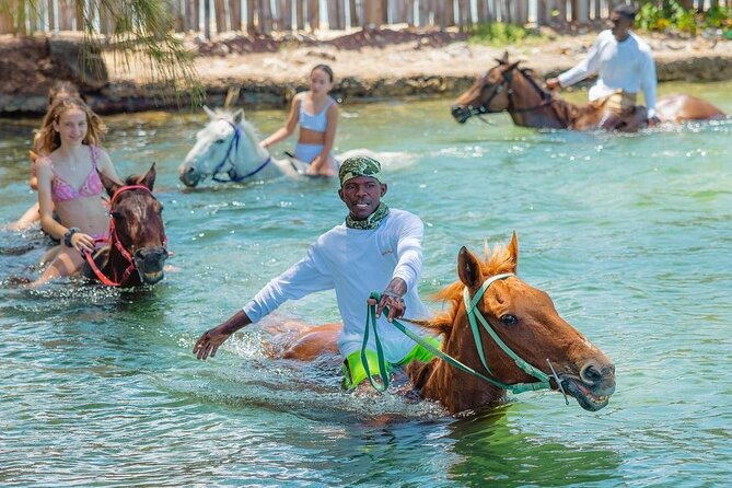Horseback Ride and Swim Jamaica - What the horses and guides add to the experience