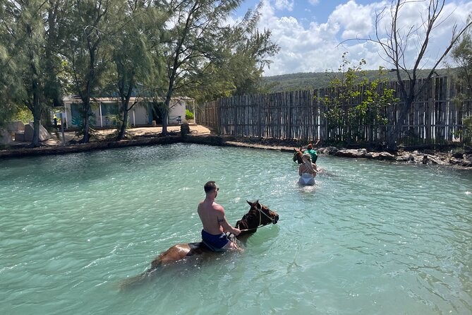 Horseback Ride and Swim Tour In Montego Bay - Private Transportation, Group Details, and Timing