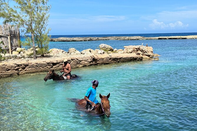 Horseback Ride and Swim Tour In Montego Bay - Who Will Enjoy This Most
