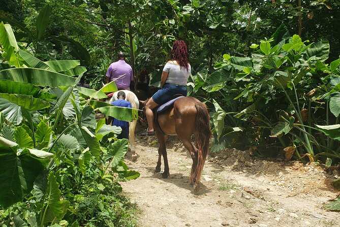 Horseback 'Ride N Swim' & Dunns River Falls from Montego Bay - Key points to know before booking