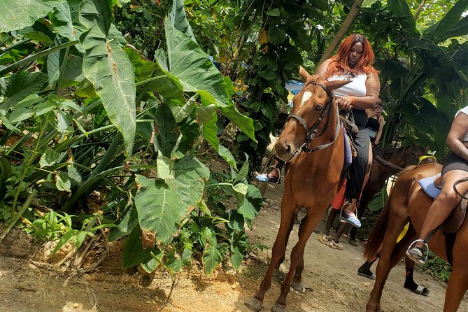 Horseback 'Ride N Swim' & Dunns River Falls from Montego Bay - Riding into the Caribbean Sea