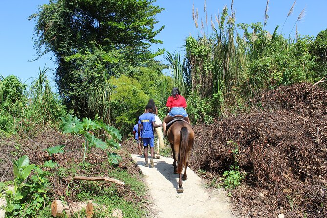 Horseback Ride & Swim Jamaica/Montego Bay - What the trail portion gives you
