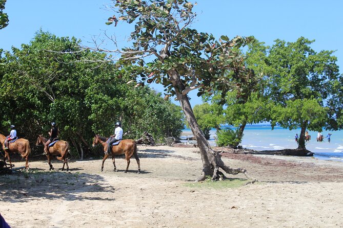 Horseback Ride & Swim Jamaica/Montego Bay - Entering the Caribbean on horseback