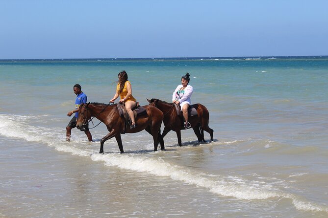 Horseback Ride & Swim Jamaica/Montego Bay - What the strongest feedback highlights