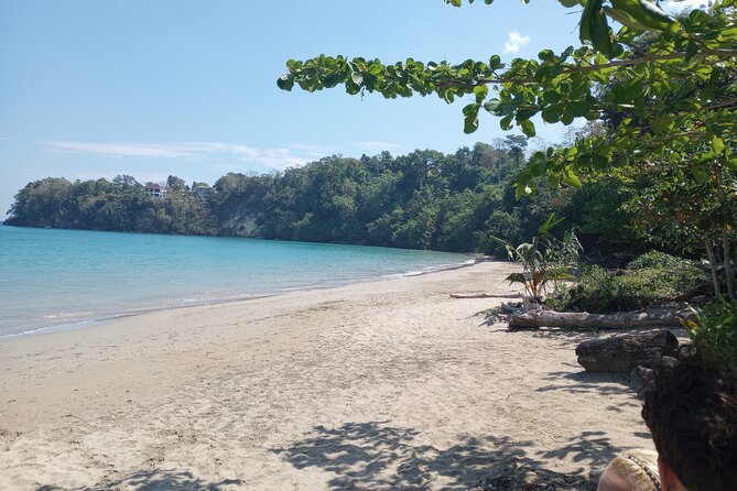 Horseback riding, Blue hole or Dunn's River Combo - Is $125 per person a good value?