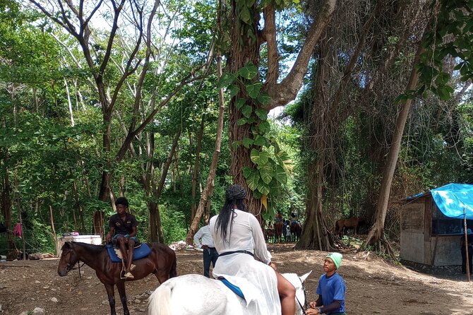 Horseback riding, Blue hole or Dunn's River Combo - Dunn’s River Falls, a climb up 300 meters of natural terraces