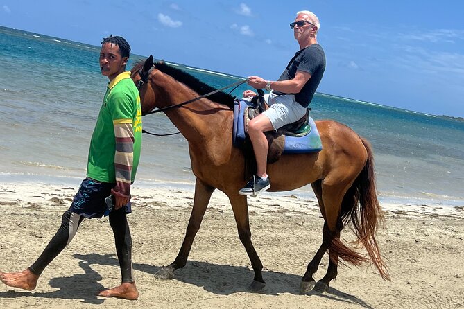 Horseback riding & bluehole secret falls from Montego Bay - The best parts at a glance