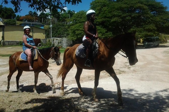 Horseback Riding Dunn's River Falls Adventure from Montego Bay - Key points at a glance