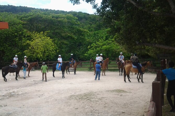 Horseback Riding Dunn's River Falls Adventure from Montego Bay - What the guides add to the experience