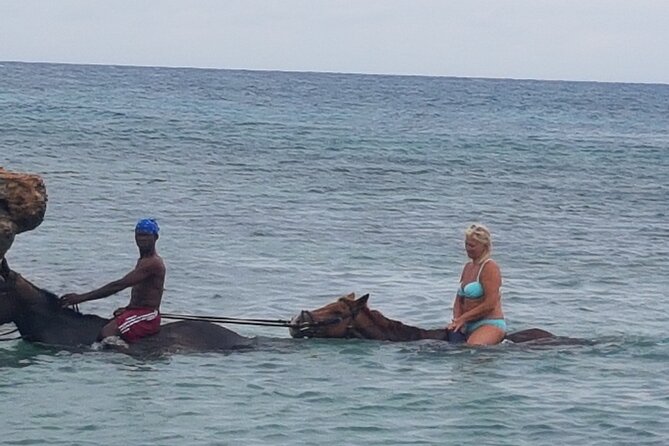 Horseback Riding Dunn's River Falls Adventure from Montego Bay - Is $186.35 a fair price?