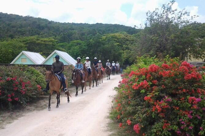 Horseback Riding Dunn's River Falls Adventure from Montego Bay - Who will enjoy this outing most?