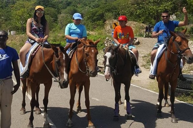 Horseback Riding from Montego Bay - Beach Riding Before the Swim
