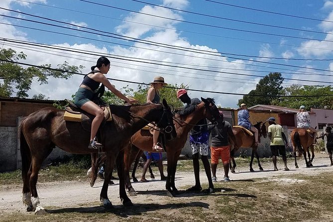 Horseback Riding from Montego Bay - Swimming With Your Horse for 45 to 60 Minutes