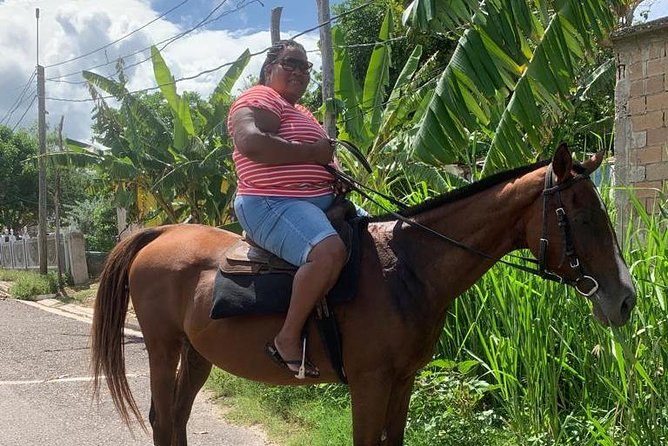 Horseback Riding from Montego Bay - Is $200 Per Person a Fair Price?