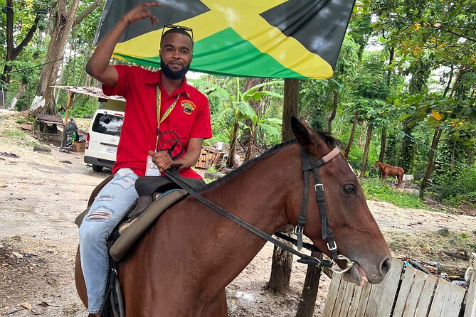 Horseback Riding In The Ocean from Montego Bay Private Transfer - The Drive Toward St Ann’s Bay
