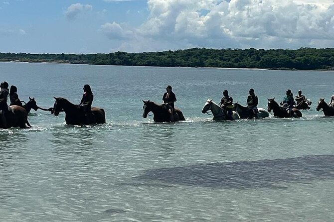 Horseback Riding in the Ocean from Ocho Rios & Runaway Bay - A nature walk with birds, waves, and a coastal view