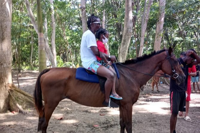 Horseback Riding plus Dunns River Falls Combo Private Tour - Is $190 per person a fair price?