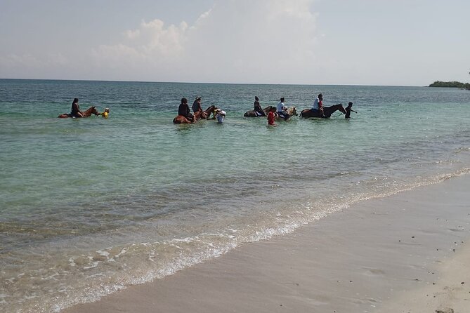 Horseback Riding plus Dunns River Falls Combo Private Tour - Who should book this day
