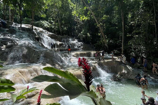 Horseback Riding/Swimming and Dunn's River from Ocho Rios - How the two activities fit into four hours