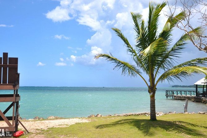 Horseback Riding/Zipline Combo Tour at Chukka Ocean Outpost with Transportation - Arriving by private, air-conditioned transportation