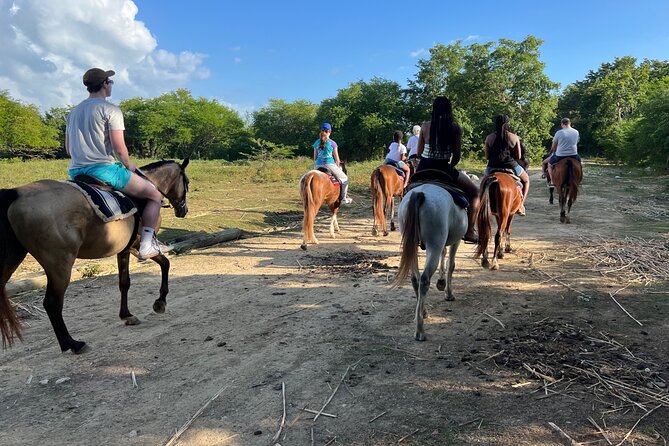 Horseback “SPECIAL”- Negril’s Beach Ride N’ Swim with Free photos/videos - Free photos are a genuine advantage