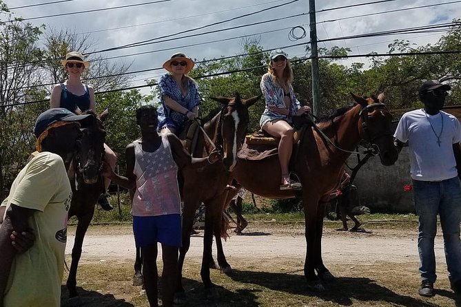Hour Horseback Riding Guided Tour from Runaway Bay - Choosing a Horse and Getting Comfortable