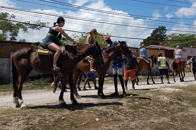 Hour Horseback Riding Guided Tour from Runaway Bay - The River Option and a Change of Pace