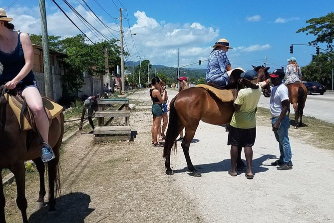 Hour Horseback Riding Guided Tour from Runaway Bay - What the Local Setting Is Really Like