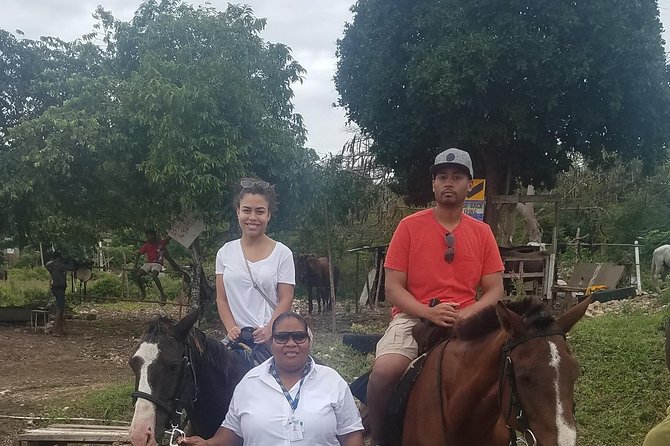 Hour Horseback Riding Guided Tour from Runaway Bay - Practical Tips for a Smoother Morning