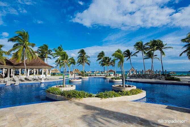 Hyatt Zilara Rose Hall Resort Private Airport Transfer - Who will appreciate this transfer most
