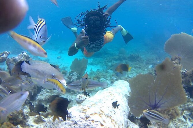 Incredible Negril Guided Snorkeling To Reef, Anchor, and Cannon - Key points at a glance