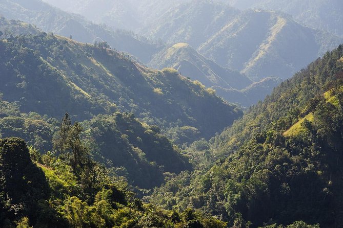 Jamaica Blue Mountain Guided Nature Tour - Key points to know before you book