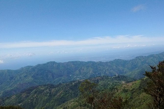Jamaica Blue Mountain Guided Nature Tour - Leaving Kingston at 9:30 a.m.