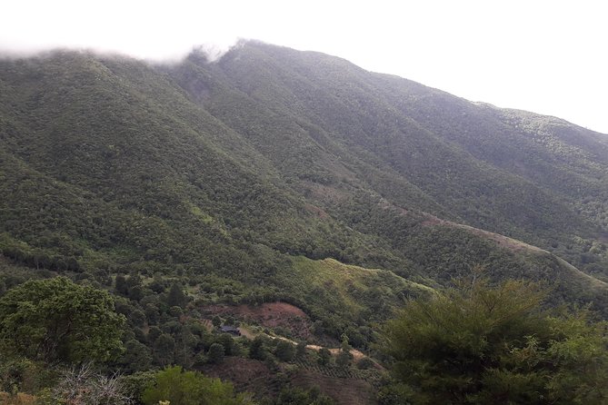 Jamaica Blue Mountain Guided Nature Tour - How demanding are the hikes?
