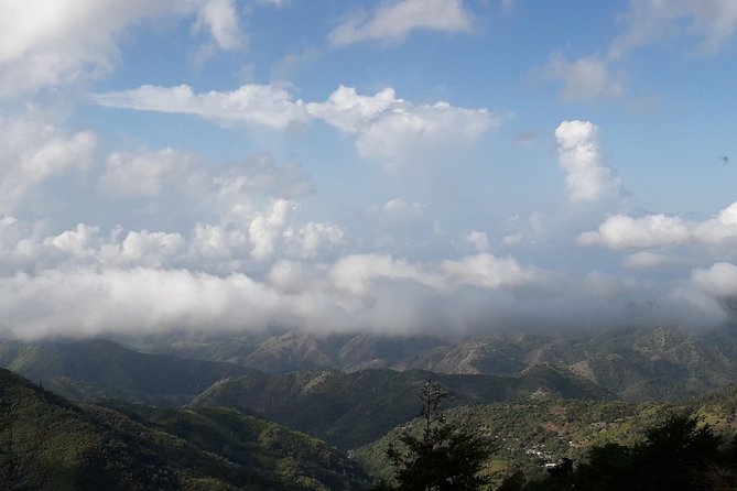 Jamaica Blue Mountain Guided Nature Tour - Irish Town and the second mountain viewpoint