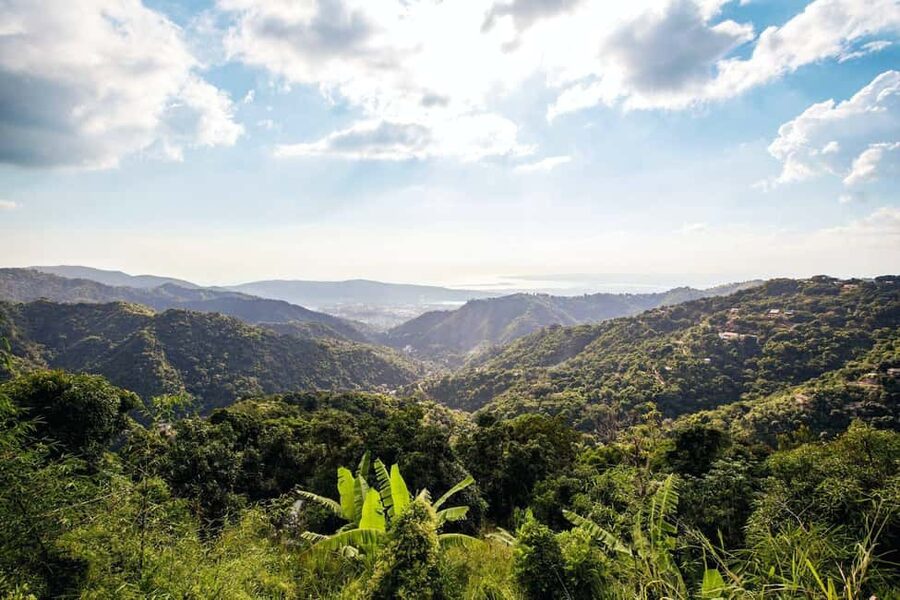 Jamaica: Blue Mountains Full Day Tour with Brunch & Lunch - From Montego Bay to Jamaica’s High Country
