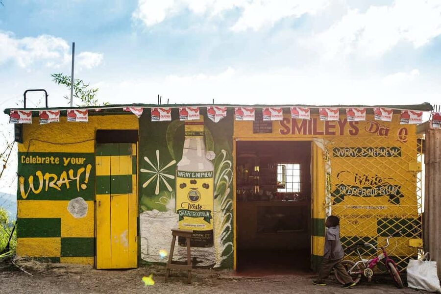 Jamaica: Blue Mountains Full Day Tour with Brunch & Lunch - Misty Peaks, Forest Plants, and Birdlife