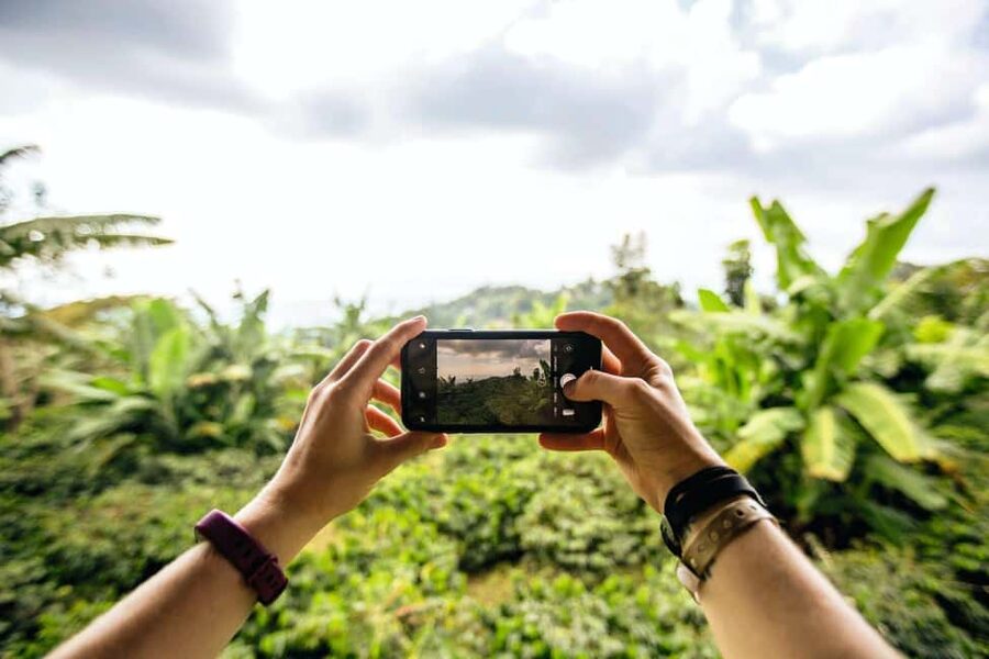 Jamaica: Blue Mountains Full Day Tour with Brunch & Lunch - Brunch, Jamaican Lunch, and the Value of a Full Day