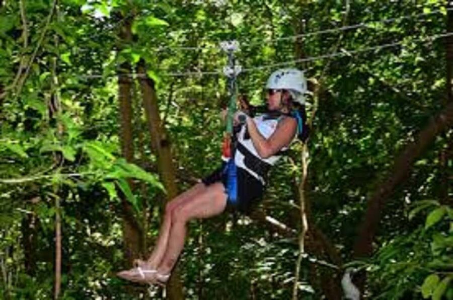 Jamaica Bobsled and Zip Line Adventure Tour - Key points at a glance