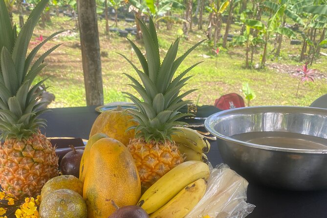 Jamaica Farm Private Dispensary Tour Montego Bay - Arriving at the private farm in the hills