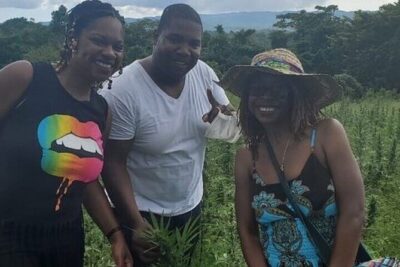 Jamaica Farm Private Dispensary Tour Montego Bay