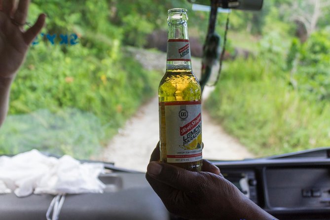 Jamaica Foodie and Cultural Experience & Konoko Falls Ocho Rios - Jerk chicken, jerk pork, and baked treats
