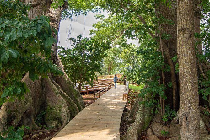 Jamaica Giants sculpture park, art galleries - The Bottom Vintage House begins the art tour