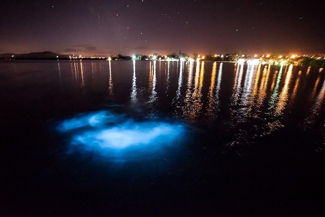 Jamaica Luminous Lagoon Private Tour with Transportation - Why the Luminous Lagoon is worth seeing